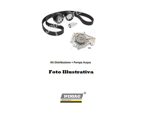 Kit distribuzione pompa - kit,